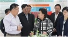 市委副書記、代市長艾麗華來我公司考察、調(diào)研